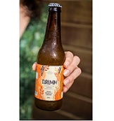 Kombuchá de Manga com Maracujá e Cúrcuma